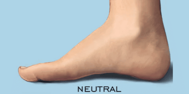 Superfoot Neutral Foot Characteristics  